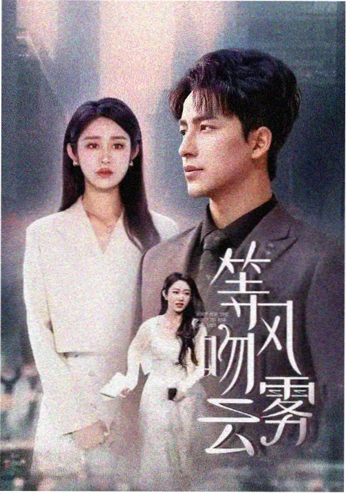 热播剧集